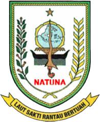 LPSE Kabupaten Natuna